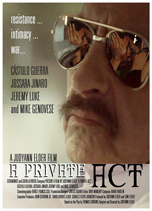 Movie poster for A Private Act (2013)