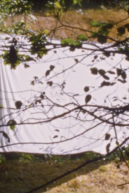 Movie poster for White Screen (for Amy Halpern) (2022)