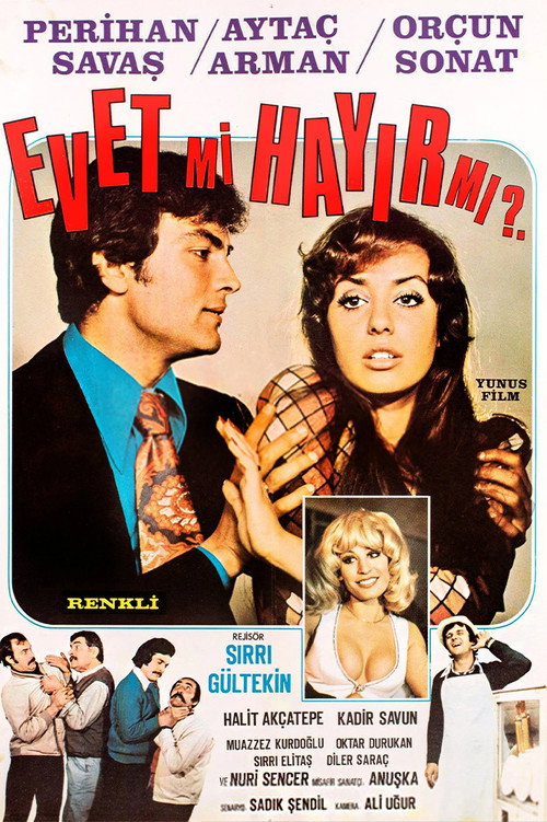 Movie poster for Evet Mi Hayır Mı (1974)
