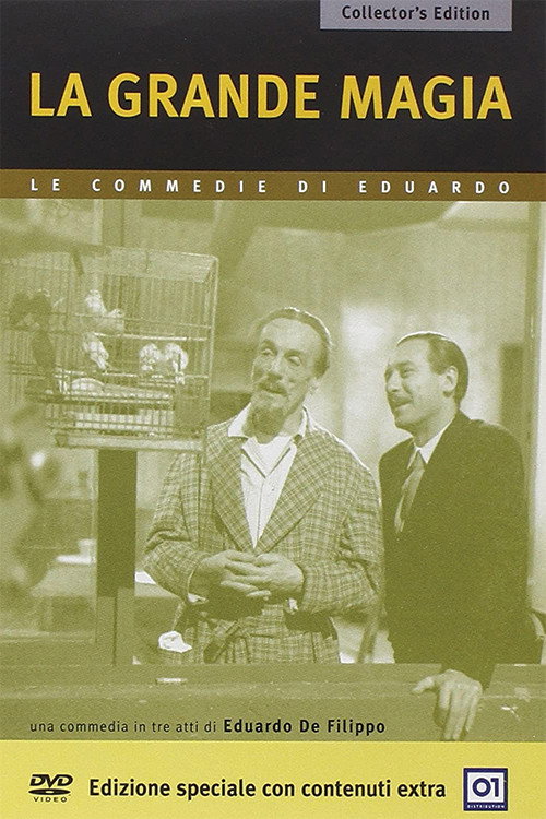 Movie poster for La grande magia (1964)