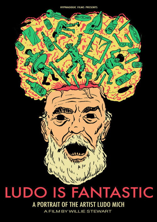 Movie poster for Ludo Is Fantastic (2018)