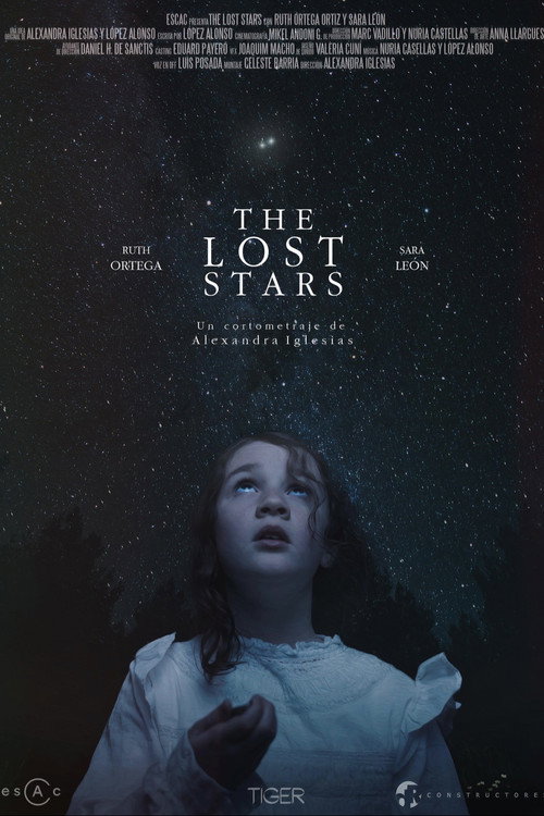Movie poster for The Lost Stars (2020)