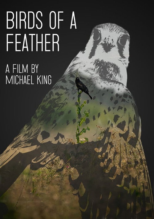 Movie poster for Birds of a Feather