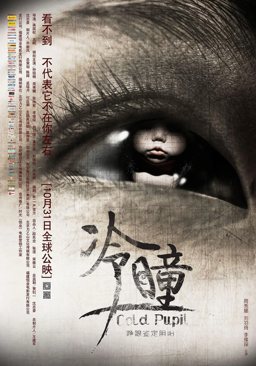 Movie poster for Cold Pupil (2013)