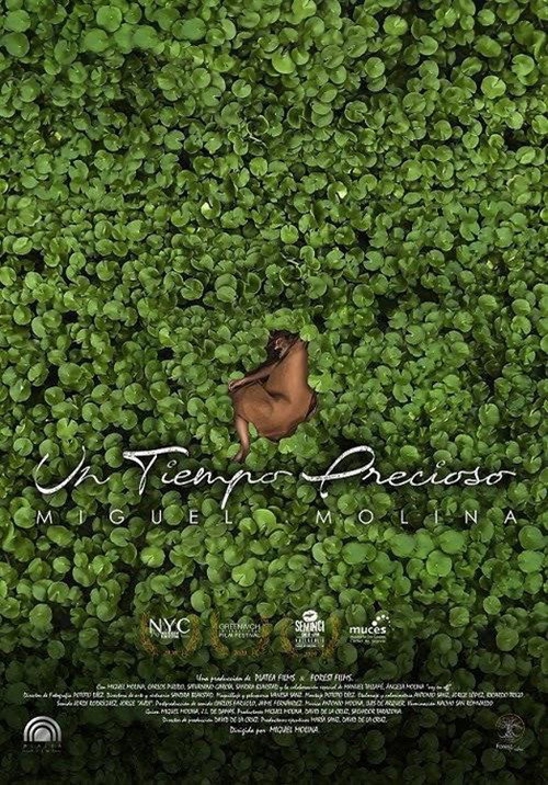 Movie poster for Un tiempo precioso (2020)