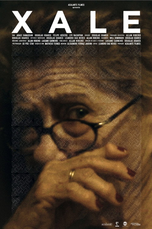 Movie poster for Shawl (2016)