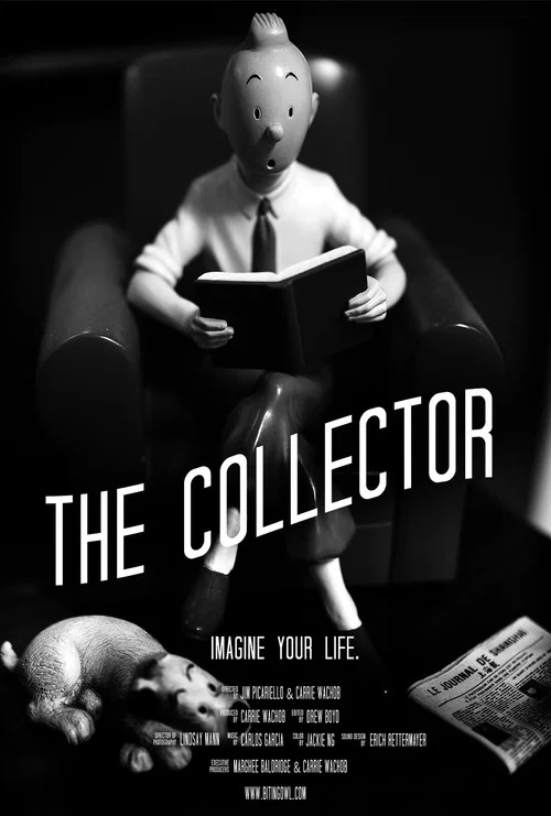 Movie poster for The Collector (2024)