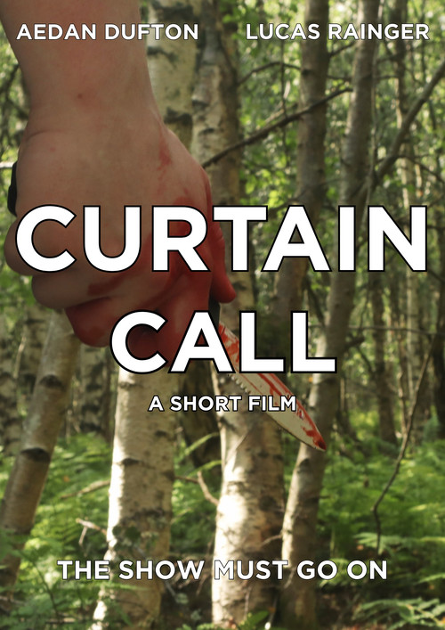 Movie poster for Curtain Call (2025)