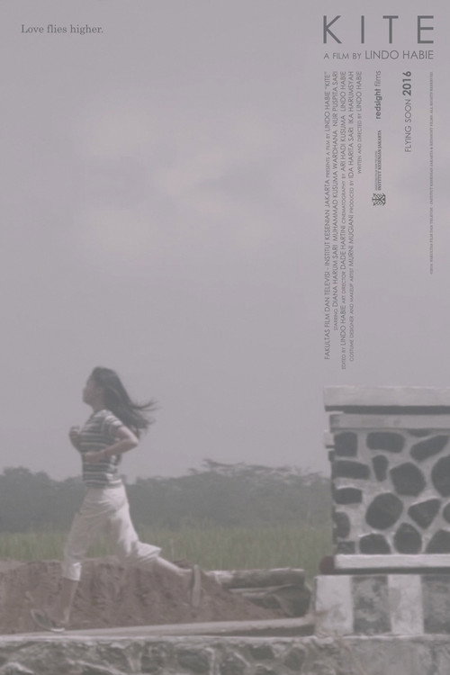 Movie poster for Kite (2016)