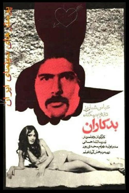 Movie poster for Evildoers (1973)