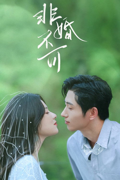 Perfect Secretary's Love poster