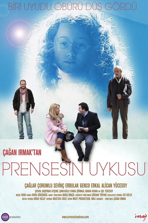 Movie poster for Sleeping Princess (2010)