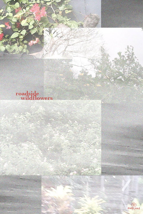 Movie poster for an ode to chris helzer's field guide to roadside wildflowers at full speed (2022)