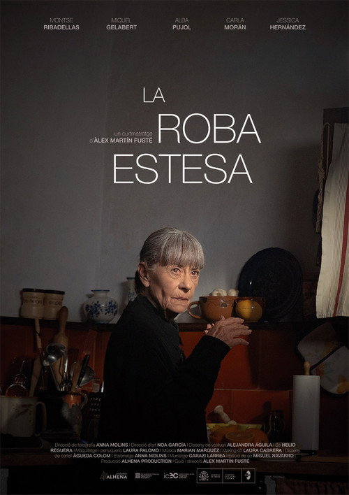 Movie poster for La roba estesa (2024)