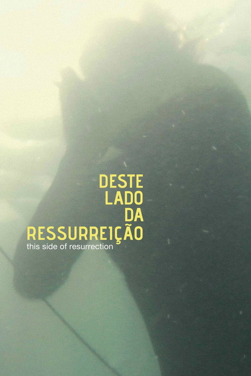 Movie poster for This Side of Resurrection (2011)