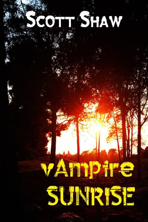 Movie poster for Vampire Sunrise (2014)