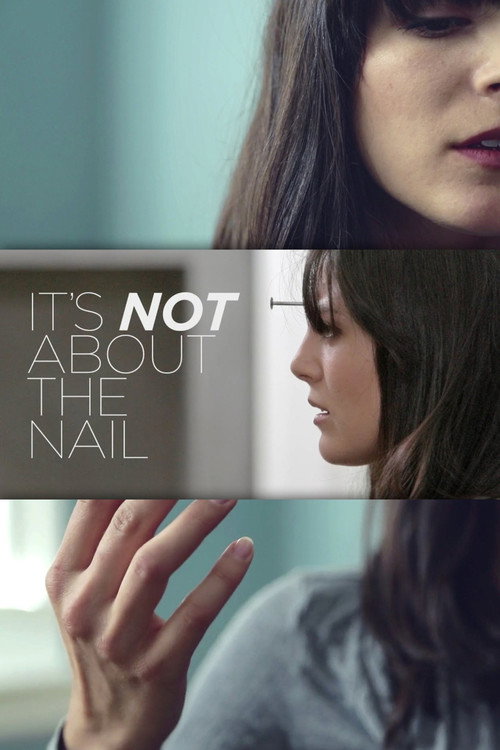 Movie poster for It's Not About the Nail (2013)