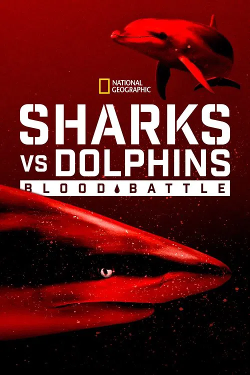 Movie poster for Sharks vs. Dolphins: Blood Battle (2020)
