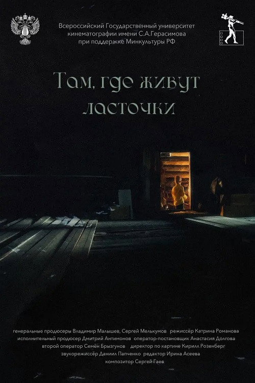 Movie poster for Там, где живут ласточки (2025)