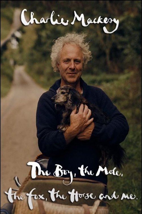 Movie poster for Charlie Mackesy: The Boy, the Mole, the Fox, the Horse and Me (2022)