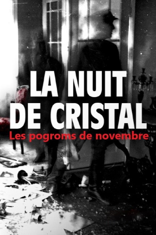 Series poster for La Nuit de cristal : Les pogroms de novembre (2025)
