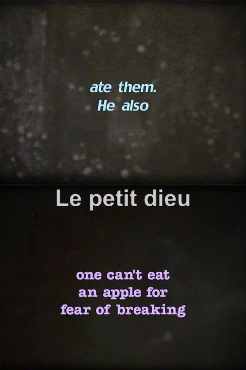 Movie poster for Le petit dieu (2002)