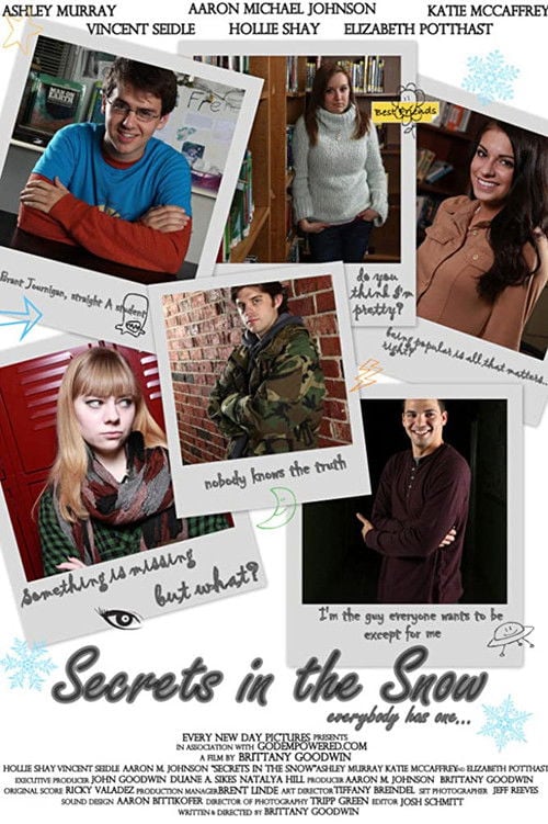 Movie poster for Secrets in the Snow (2013)