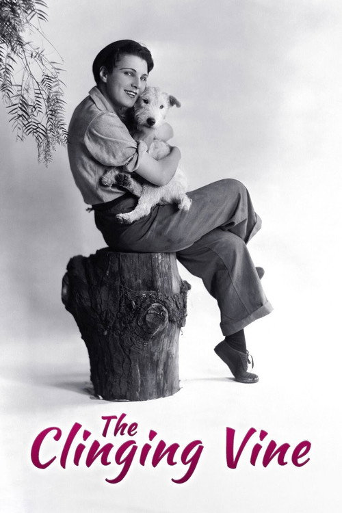 Movie poster for The Clinging Vine (1926)
