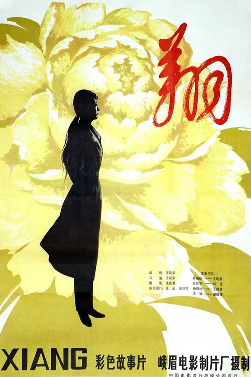 Movie poster for 翔 (2010)