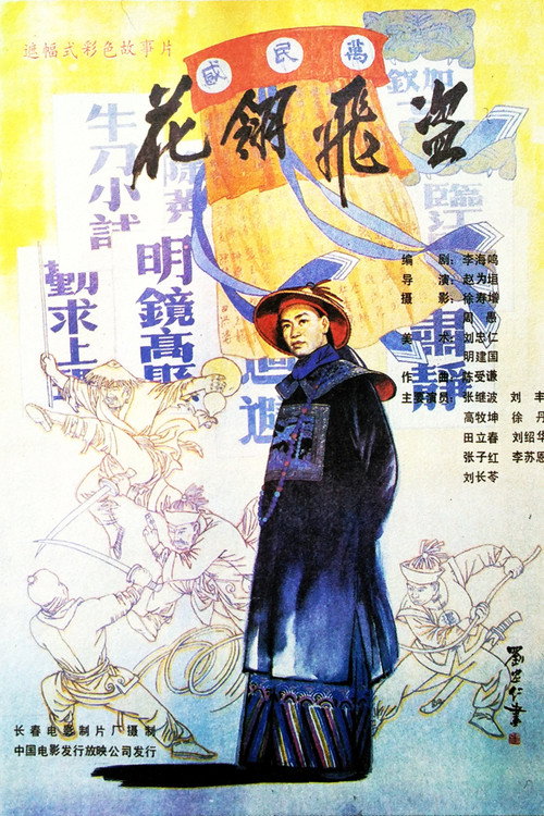 Movie poster for 花翎飞盗 (1989)