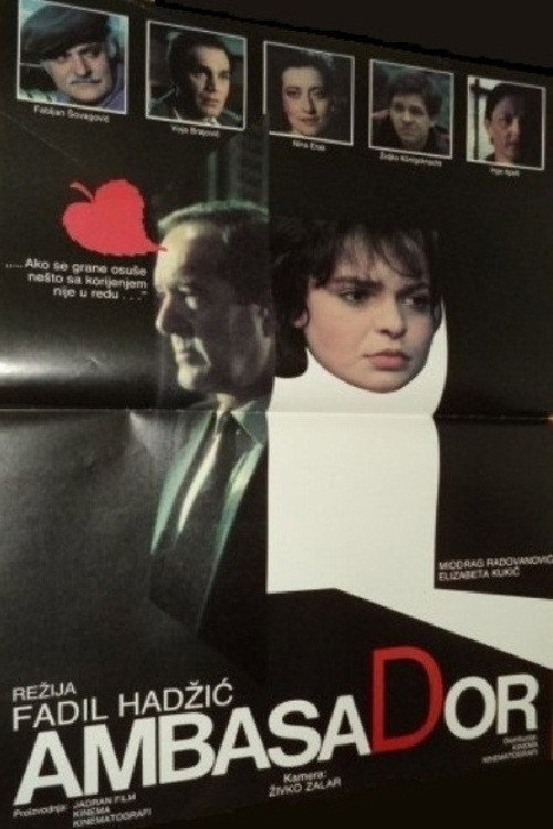 Movie poster for The Ambassador (1984)