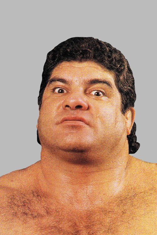 Don Muraco profile