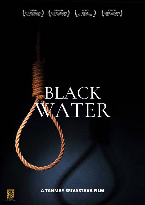 Movie poster for Black Water (2017)