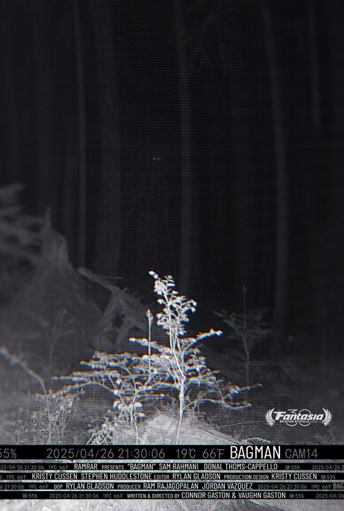 Movie poster for Bagman