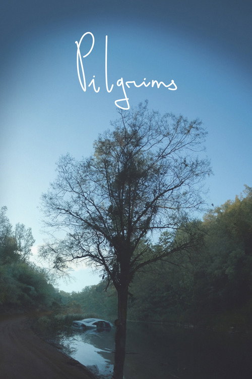 Movie poster for Pilgrims (2022)