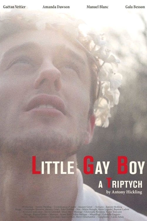 Movie poster for Little Gay Boy (2013)