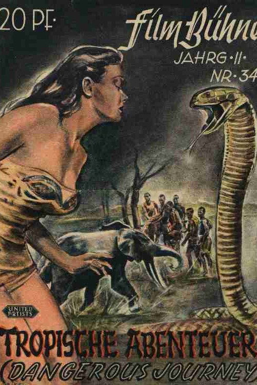 Movie poster for Dangerous Journey (1944)