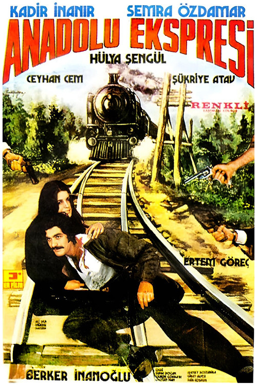 Movie poster for Anadolu Ekspresi (1973)
