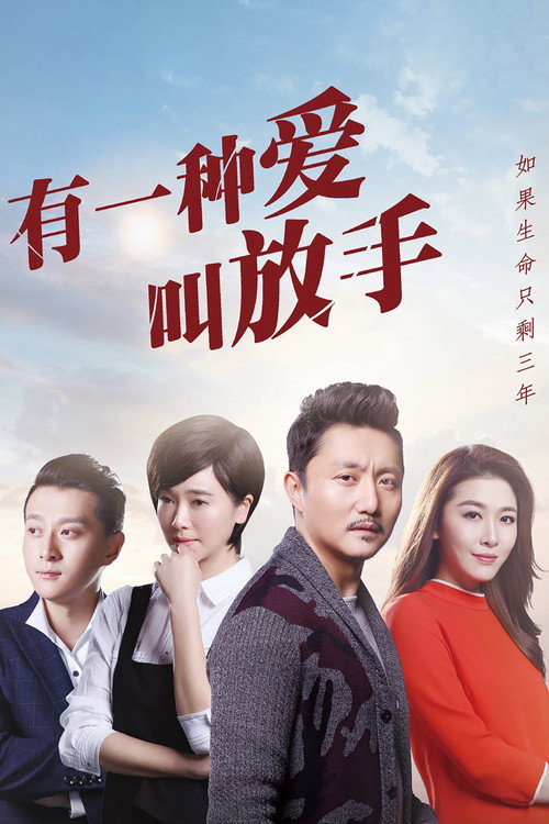 Series poster for 有一种爱叫放手 (2016)