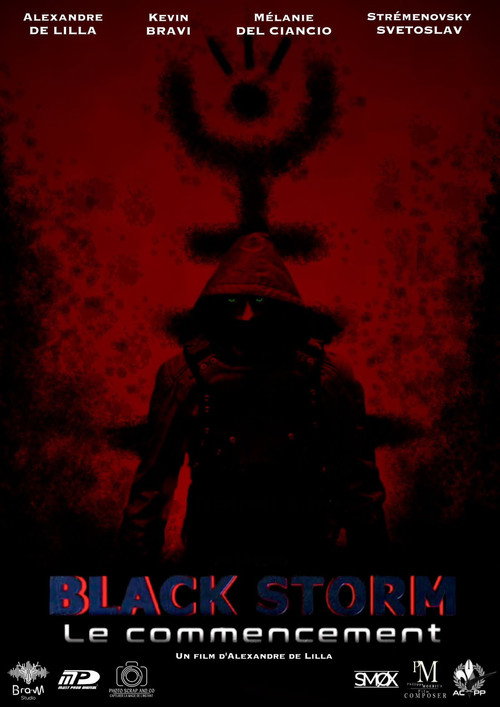 Movie poster for Black Storm : Le commencement