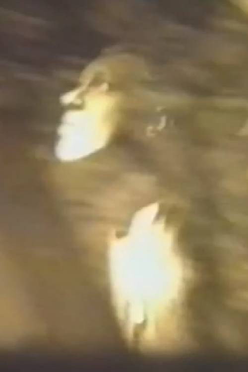 Movie poster for Unknown Title (1988)