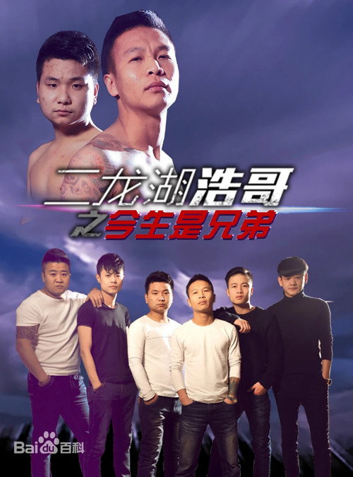 Movie poster for 二龙湖浩哥之今生是兄弟 (2014)