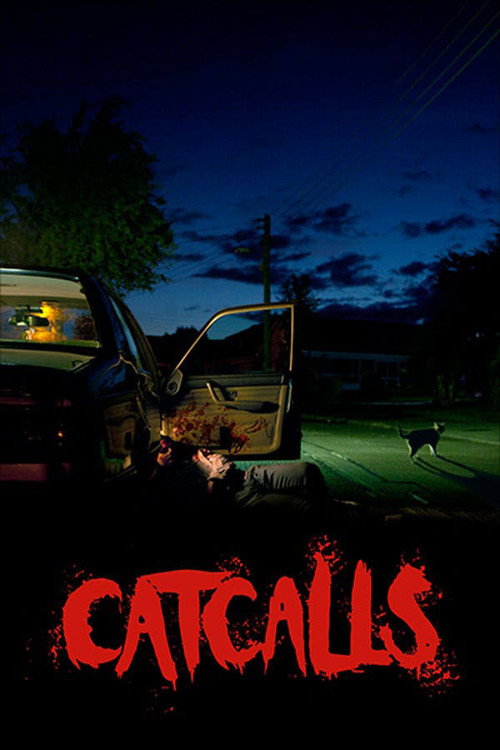 Movie poster for Catcalls (2017)
