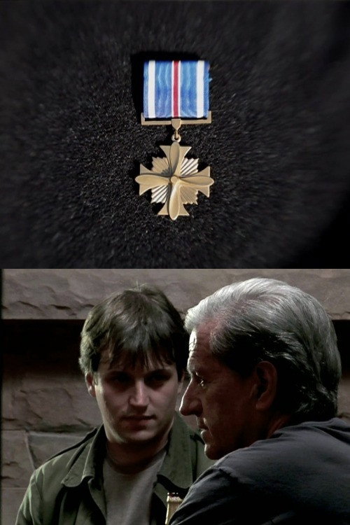 Movie poster for Distinguished Flying Cross (2011)