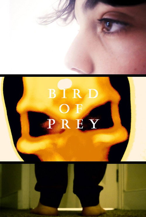 Movie poster for Bird Of Prey (2021)