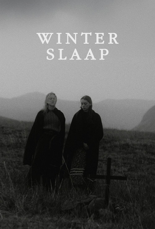 Movie poster for Hibernation (2023)