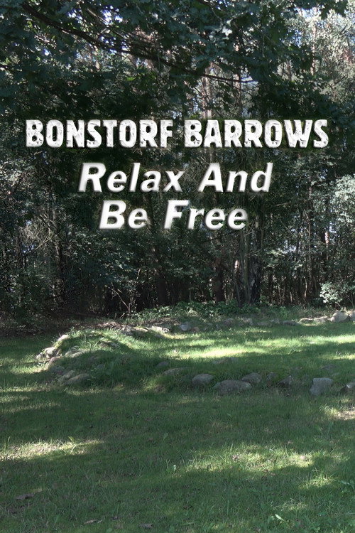 Movie poster for Bonstorf Barrows: Relax And Be Free (2017)