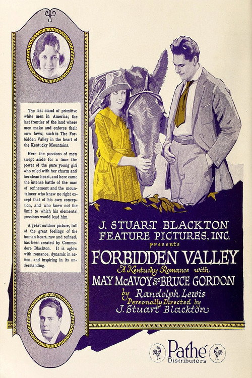 Movie poster for The Forbidden Valley (1920)