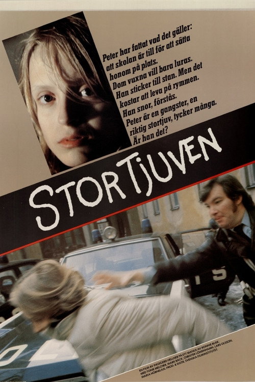 Movie poster for Stortjuven (1979)