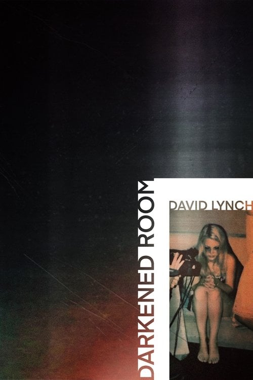 Movie poster for Darkened Room (2002)